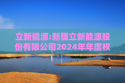立新能源:新疆立新能源股份有限公司2024年年度权益分派实施公告  第1张
