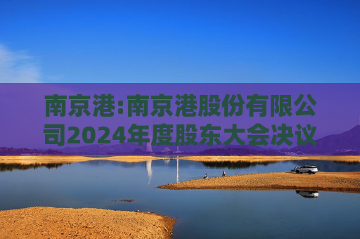 南京港:南京港股份有限公司2024年度股东大会决议公告