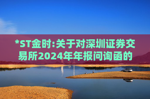 *ST金时:关于对深圳证券交易所2024年年报问询函的回复  第1张
