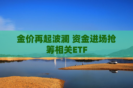 金价再起波澜 资金进场抢筹相关ETF