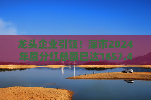 龙头企业引领!深市2024年度分红总额已达1657.47亿元 第1张 龙头企业引领!深市2024年度分红总额已达1657.47亿元 第1张