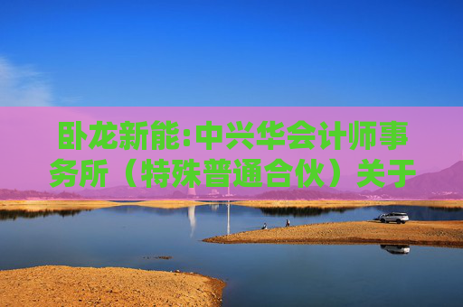 卧龙新能:中兴华会计师事务所（特殊普通合伙）关于不存在《上市公司监管指引第7号――上市公司重大资产重组相关股票异常交易监管》第十二条不得参与任何上市公司重大资产重组情形的说明