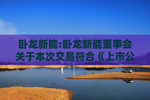 卧龙新能:卧龙新能董事会关于本次交易符合《上市公司重大资产重组管理办法》第十一条有关规定的说明  第1张