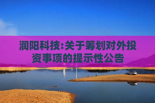 润阳科技:关于筹划对外投资事项的提示性公告  第1张