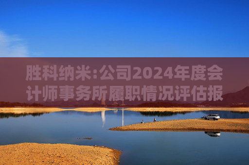 胜科纳米:公司2024年度会计师事务所履职情况评估报告  第1张