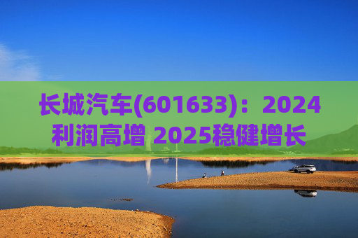 长城汽车(601633)：2024利润高增 2025稳健增长  第1张