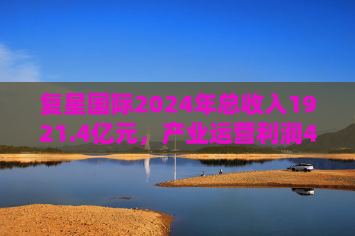 复星国际2024年总收入1921.4亿元,产业运营利润49亿元 第1张 复星国际2024年总收入1921.4亿元,产业运营利润49亿元 第1张
