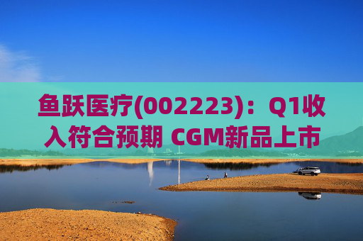 鱼跃医疗(002223)：Q1收入符合预期 CGM新品上市丰富增长动能