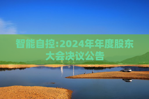 智能自控:2024年年度股东大会决议公告
