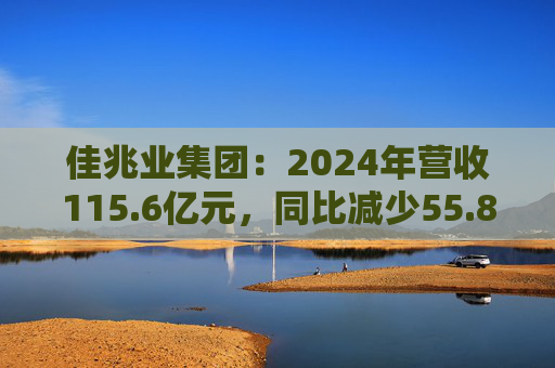 佳兆业集团：2024年营收115.6亿元，同比减少55.8%  第1张