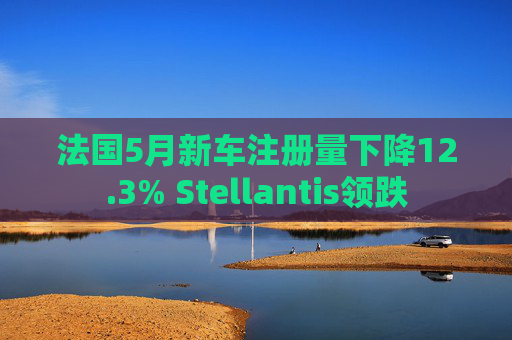 法国5月新车注册量下降12.3% Stellantis领跌  第1张