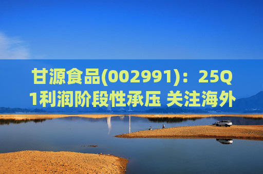 甘源食品(002991)：25Q1利润阶段性承压 关注海外市场突破