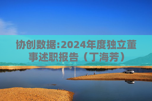 协创数据:2024年度独立董事述职报告（丁海芳）
