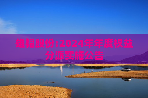 雄韬股份:2024年年度权益分派实施公告