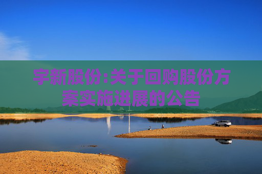 宇新股份:关于回购股份方案实施进展的公告