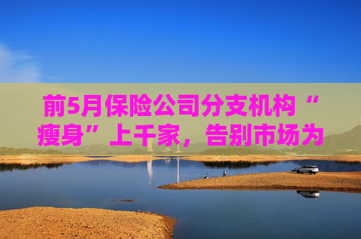 前5月保险公司分支机构“瘦身”上千家,告别市场为哪般 第1张 前5月保险公司分支机构“瘦身”上千家,告别市场为哪般 第1张