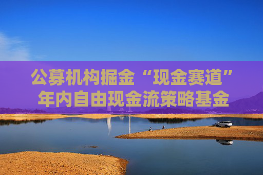 公募机构掘金“现金赛道” 年内自由现金流策略基金募资近150亿元