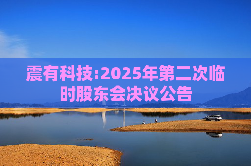 震有科技:2025年第二次临时股东会决议公告