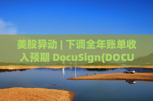 美股异动 | 下调全年账单收入预期 DocuSign(DOCU.US)大跌超18%