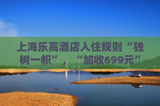 上海乐高酒店入住规则“独树一帜”，“加收699元”引质疑