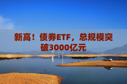 新高！债券ETF，总规模突破3000亿元  第1张