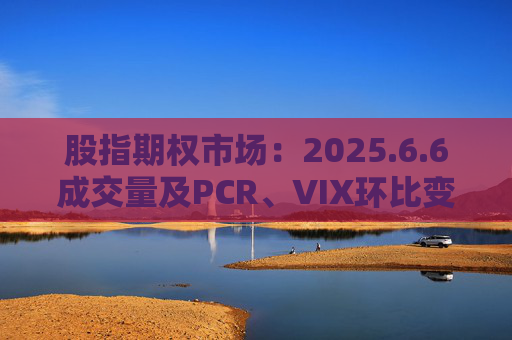 股指期权市场：2025.6.6成交量及PCR、VIX环比变动情况