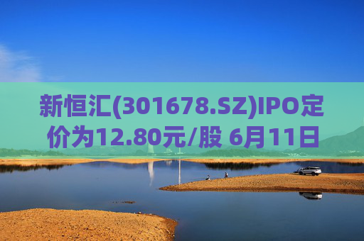 新恒汇(301678.SZ)IPO定价为12.80元/股 6月11日申购  第1张