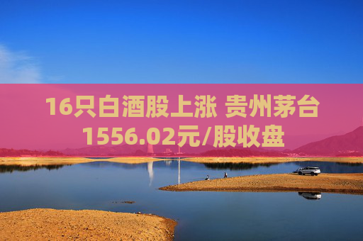 16只白酒股上涨 贵州茅台1556.02元/股收盘  第1张