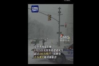 美国芝加哥出现负电价，发生了什么？