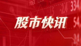石大胜华：4月10日召开董事会会议