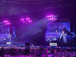 “撞”上春假的清明：今日游客达峰值，周杰伦演唱会拉动酒店房价大涨6倍