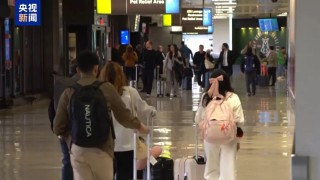 被国际旅客“抛弃”？今年赴美国际旅客数量预计将下降8.7%