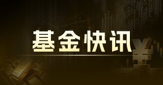 天弘中证计算机 ETF 联接 C：净值波动，持仓前十 001630