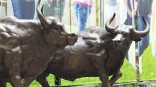 如何理解资本市场参与者的角色？这些角色对市场有什么影响？