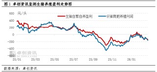 高瞻远“猪”：节后亏损再度加剧 生猪养殖何时走出困境？