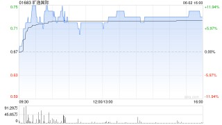 旷逸国际拟发行最多1.41亿股配售股份