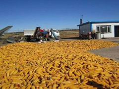 大商所什么条件能进价差策略是什么修改为在大商所怎样满足进价差策略的条件?这些条件有哪些实际影响? 第1张 大商所什么条件能进价差策略是什么修改为在大商所怎样满足进价差策略的条件?这些条件有哪些实际影响? 第1张