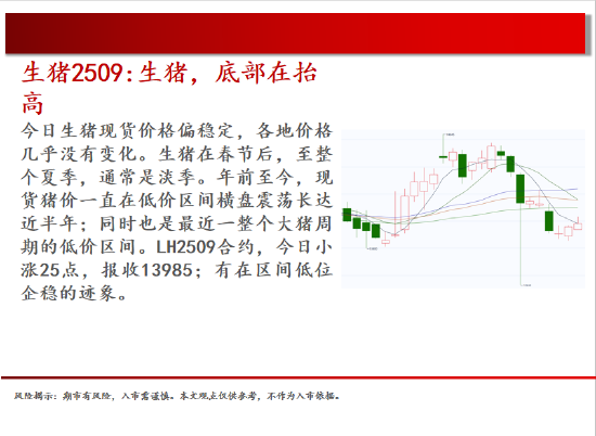 中天期货:原油回补缺口 棕榈继续下行  第4张