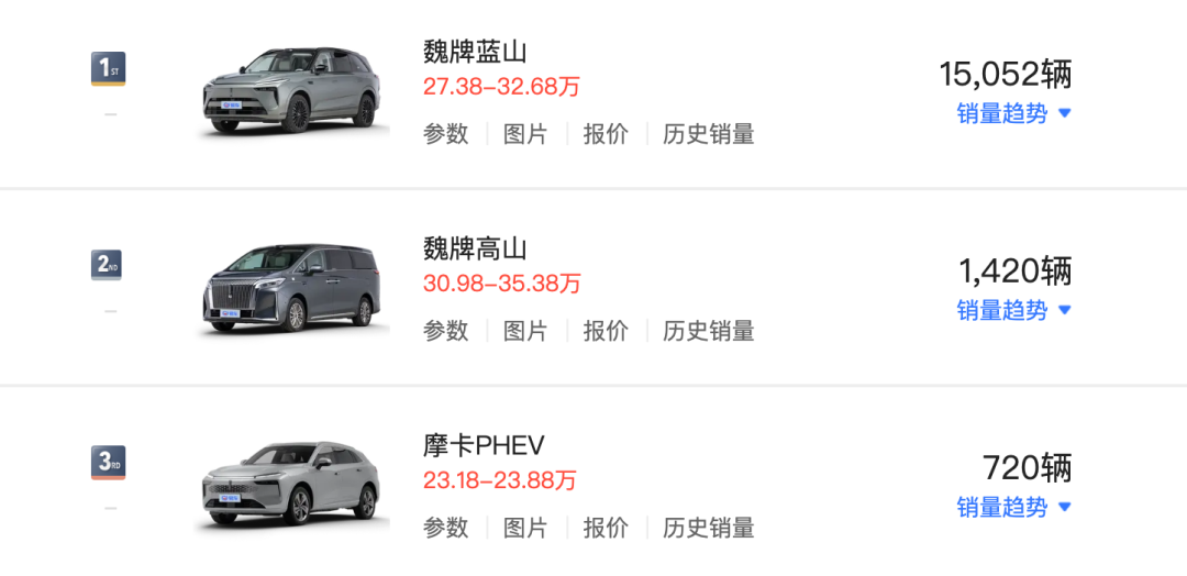 蓝山焕新版上市!魏建军:不会放弃魏牌 第4张 蓝山焕新版上市!魏建军:不会放弃魏牌 第4张