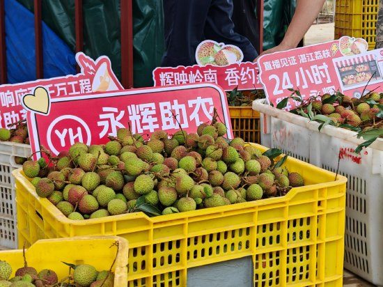 永辉超市启动2025永辉荔枝季助农活动:最快24小时从果园直达门店,从广东门店到全国门店将陆续上架 第1张 永辉超市启动2025永辉荔枝季助农活动:最快24小时从果园直达门店,从广东门店到全国门店将陆续上架 第1张