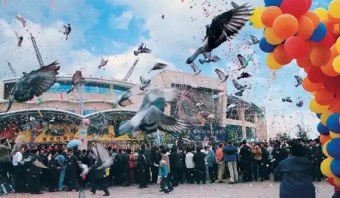 祥源控股拟23亿港元并购海昌海洋公园，专业败给了资本  第1张