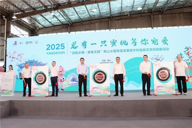 14年深耕!顺丰科技赋能,全链路升级助力阳山水蜜桃“甜蜜出圈” 第1张 14年深耕!顺丰科技赋能,全链路升级助力阳山水蜜桃“甜蜜出圈” 第1张