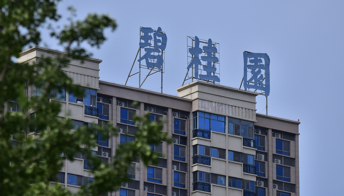 暴雷重组后的碧桂园宣布盈利，杨惠妍的“二次创业”计划迎关键拐点  第2张